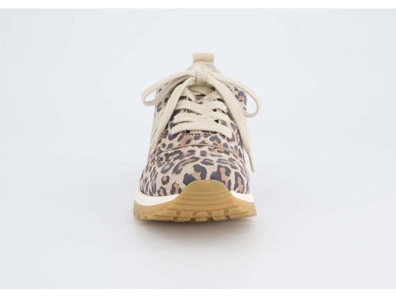 Paul Green - Leopardino/Ssuede Desert - Beige 