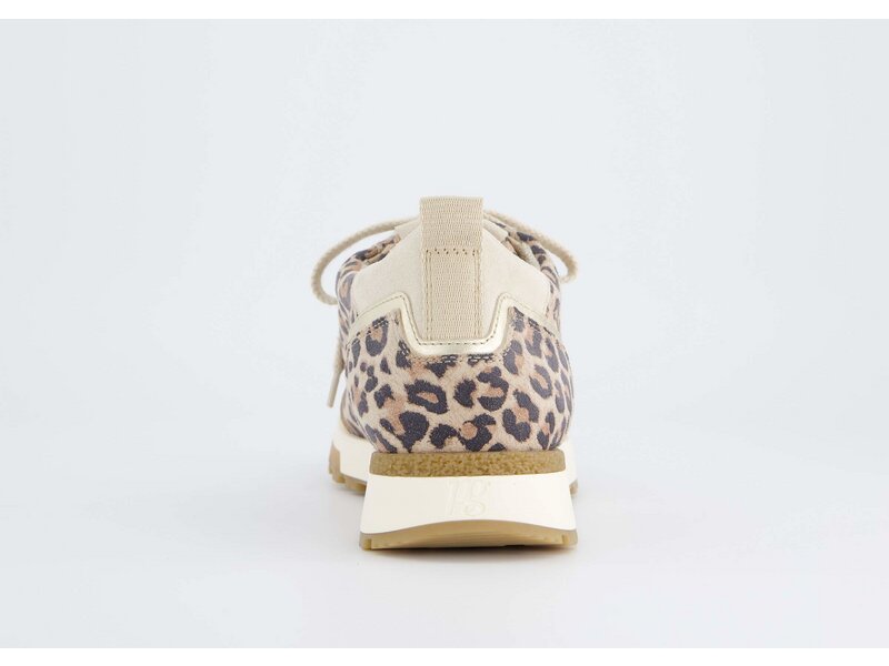 Paul Green - Leopardino/Ssuede Desert - Beige 
