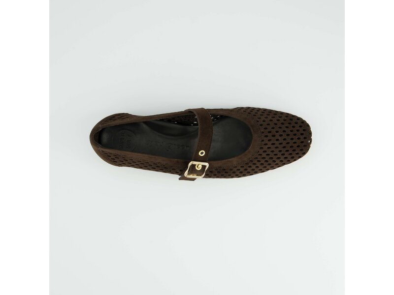 Paul Green - Samtziege Moro - Braun 