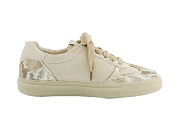 Paul Green - Boa A/S.Suede Biscuit/Sh - Beige
