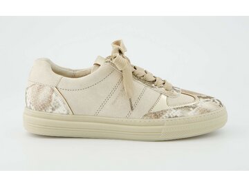 Paul Green - Boa A/S.Suede Biscuit/Sh - Beige