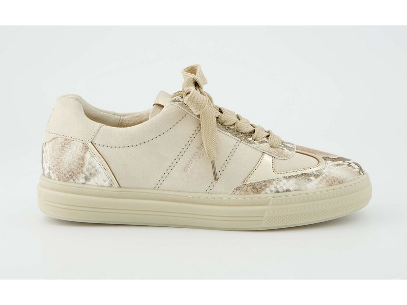 Paul Green - Boa A/S.Suede Biscuit/Sh - Beige 