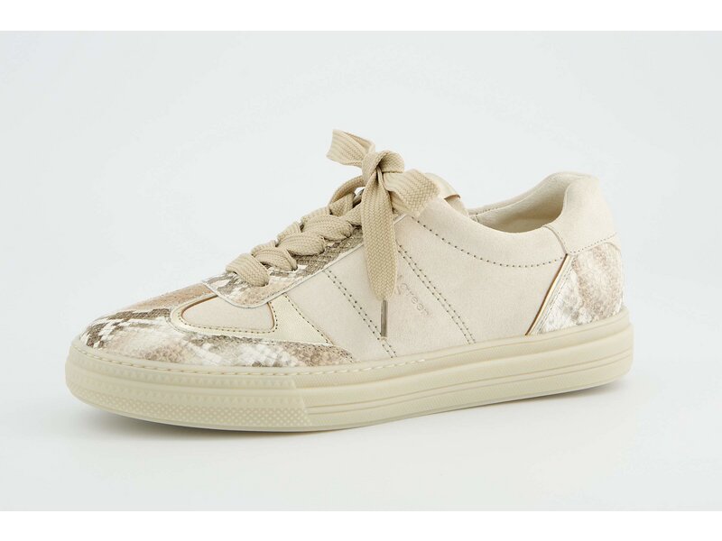 Paul Green - Boa A/S.Suede Biscuit/Sh - Beige 