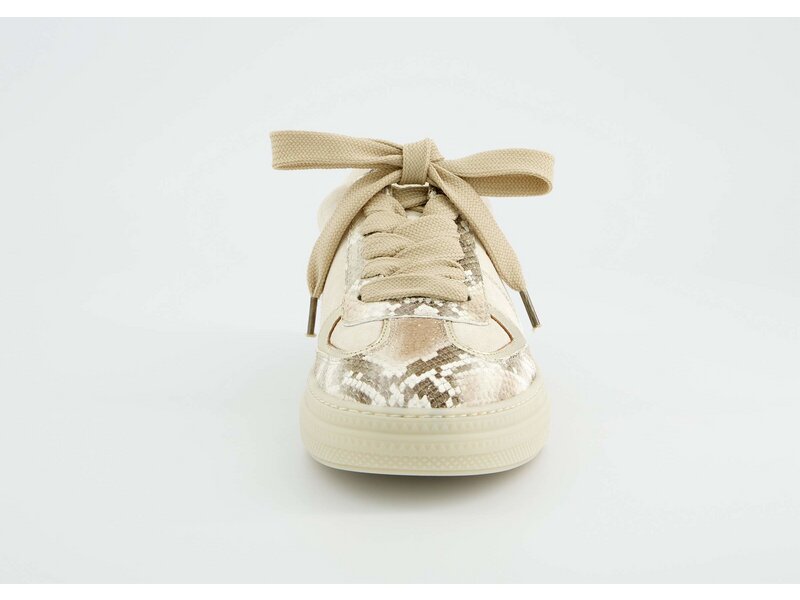 Paul Green - Boa A/S.Suede Biscuit/Sh - Beige 