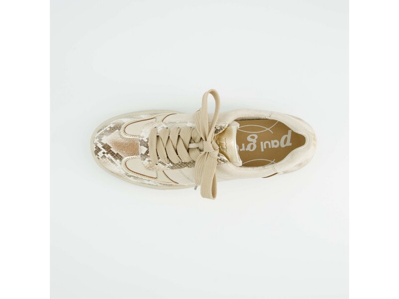 Paul Green - Boa A/S.Suede Biscuit/Sh - Beige 