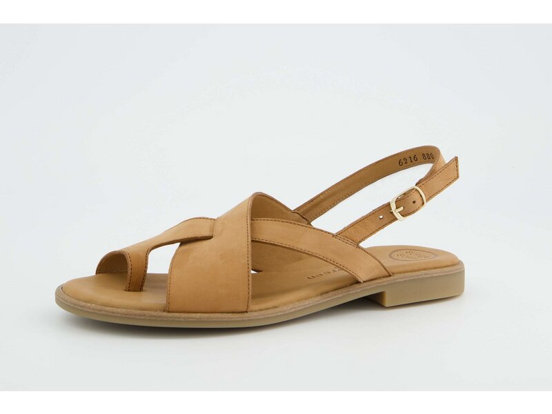 Paul Green - Royal Nubuk Sisal - Braun 