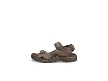 ECCO - Offroad Dark Clay