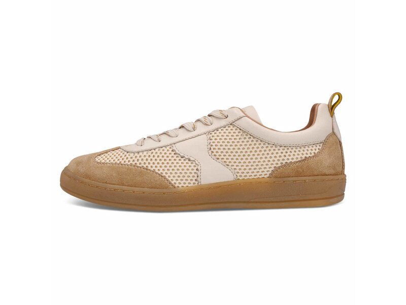 Salamander - Sneaker - Beige 