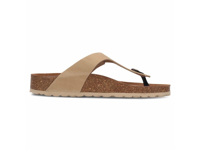 Salamander - Toe Post Sandals - Beige 