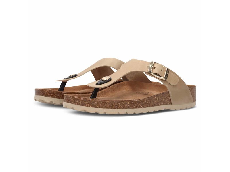Salamander - Toe Post Sandals - Beige 