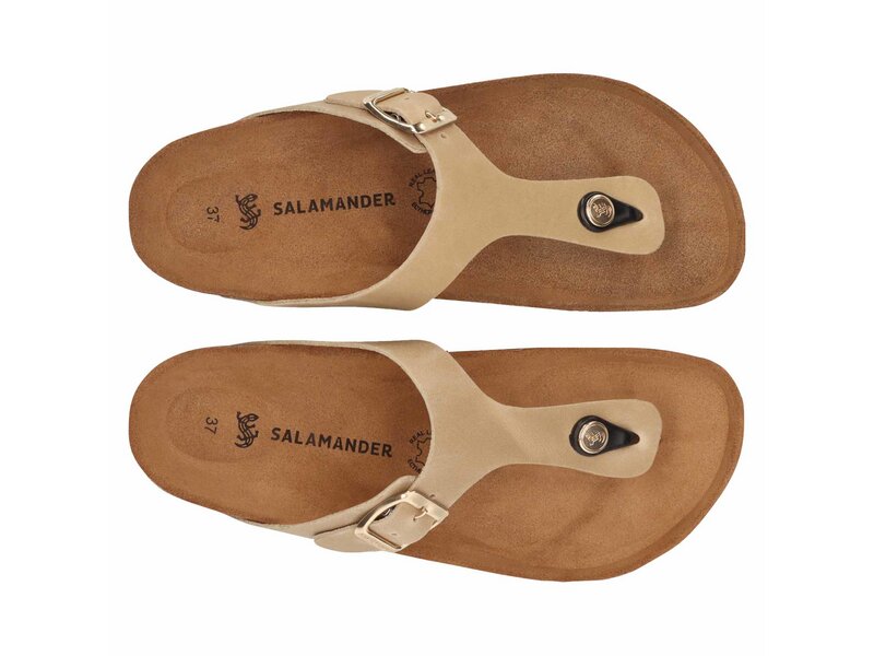 Salamander - Toe Post Sandals - Beige 