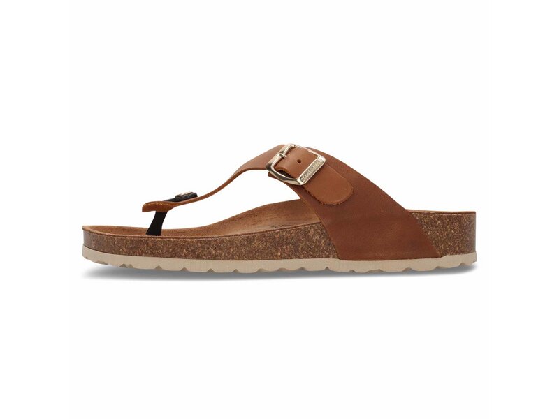 Salamander - Toe Post Sandals - Braun 