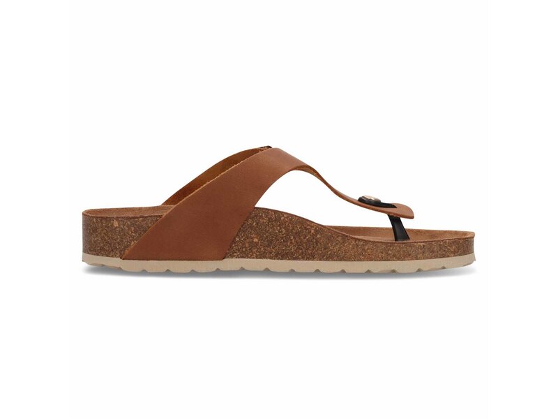 Salamander - Toe Post Sandals - Braun 