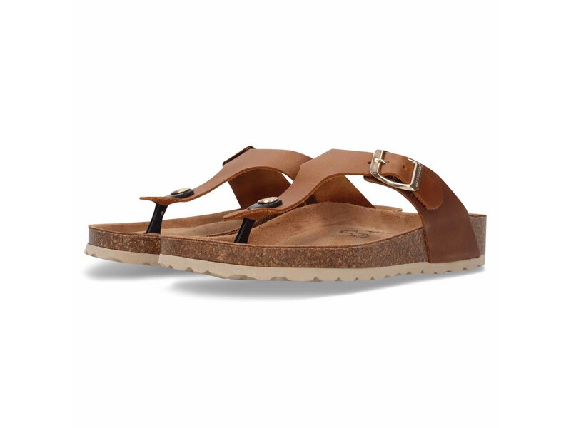Salamander - Toe Post Sandals - Braun 