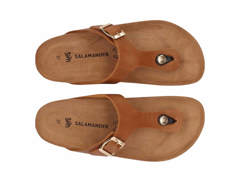 Salamander - Toe Post Sandals - Braun 