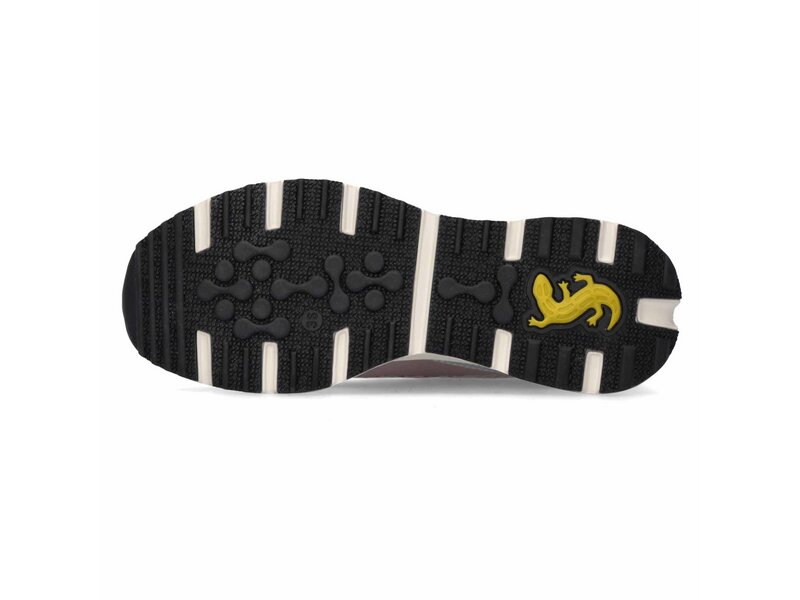 Salamander - Sneaker - Lila 