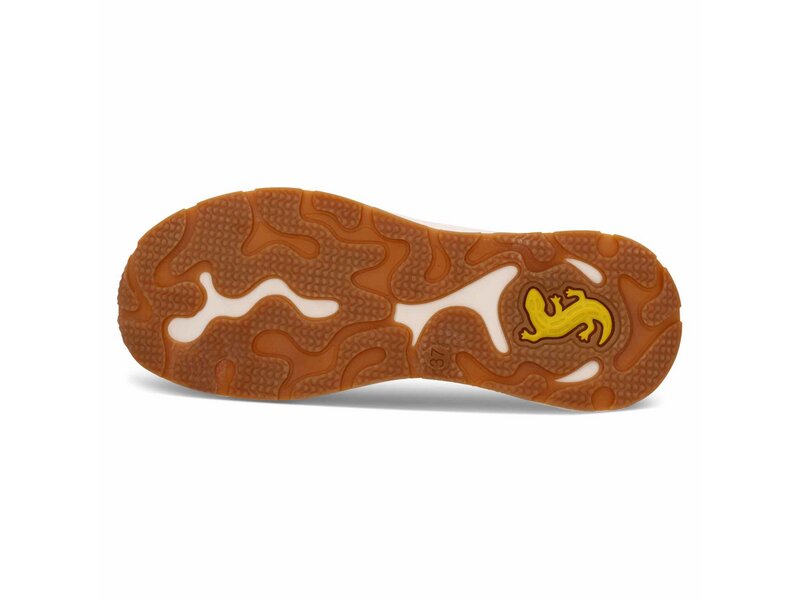 Salamander - Sneaker - Beige 