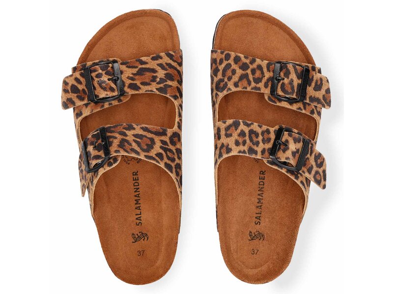 Salamander - Mules - Braun 