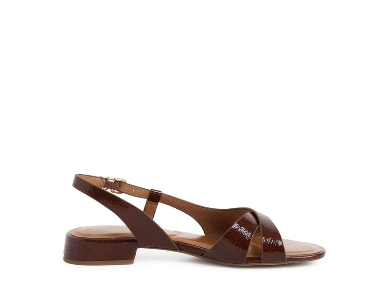 Tamaris - Sandalen - Braun 