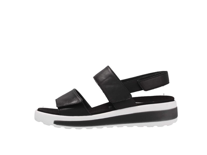 Semler - Hanna - Schwarz 