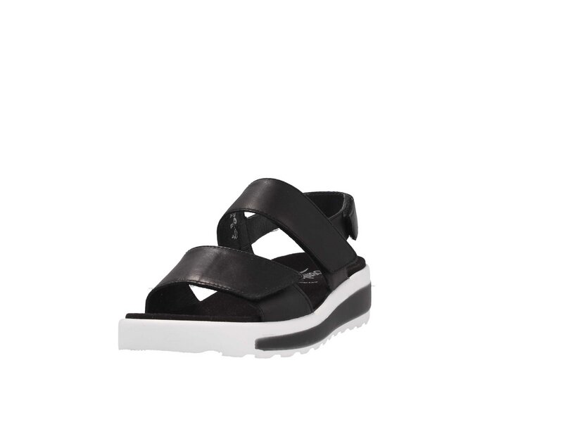 Semler - Hanna - Schwarz 