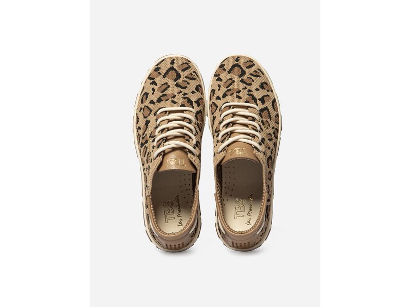 TBS - JAZARIA - Braun 