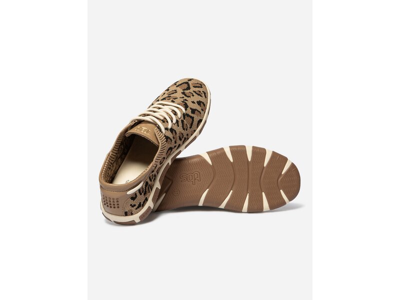 TBS - JAZARIA - Braun 