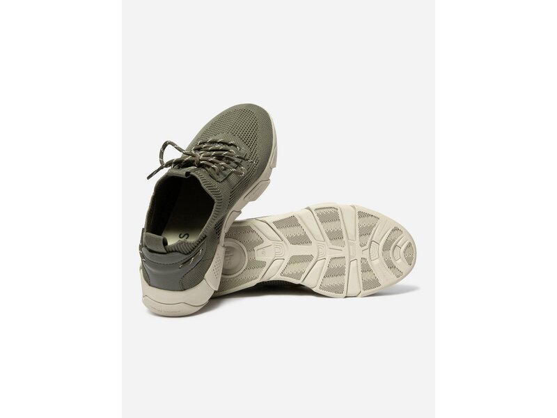 TBS - JAZSAIL - Gr&uuml;n 