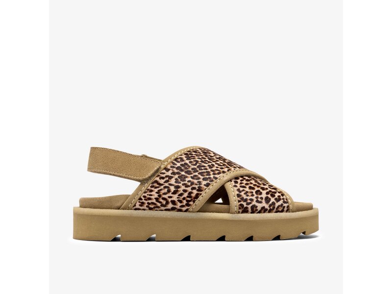 Clarks - Meare Cross Leopard Print - Braun 