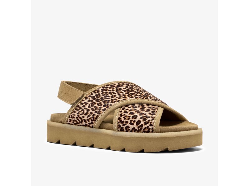 Clarks - Meare Cross Leopard Print - Braun 