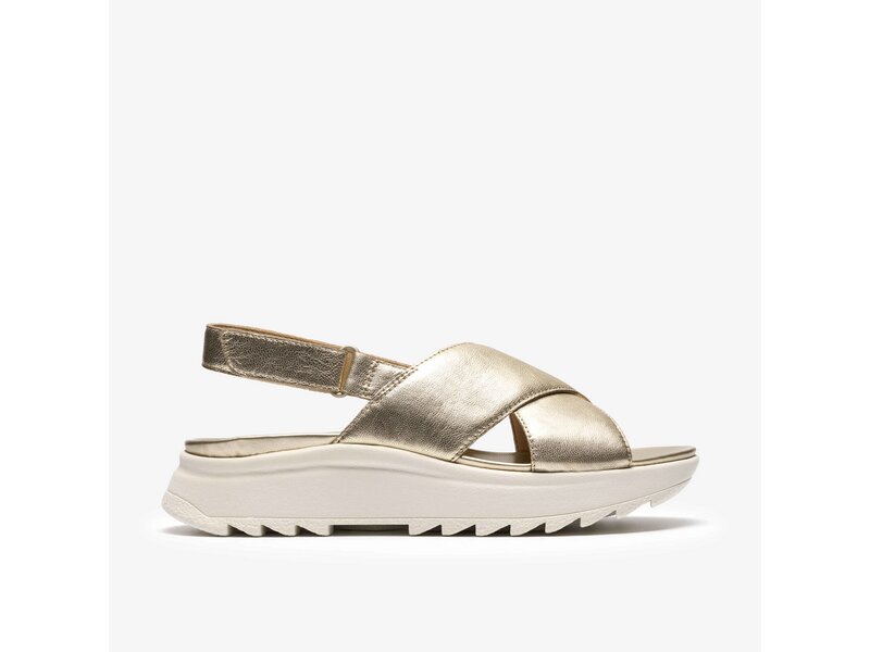 Clarks - DashLite Wish Gold Leather - Gold 