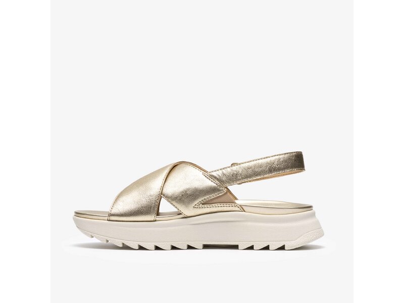 Clarks - DashLite Wish Gold Leather - Gold 