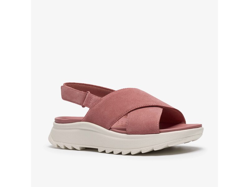 Clarks - DashLite Wish Pink Suede - Pink 