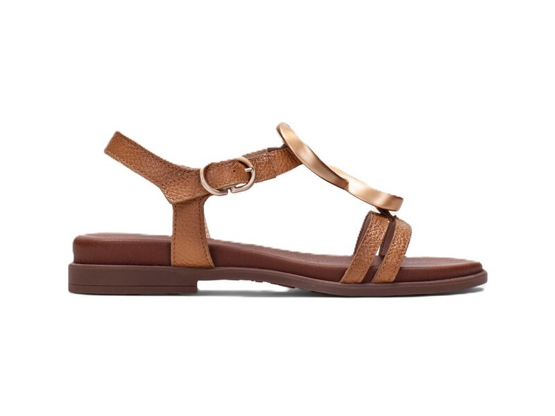 Hispanitas - BALI-V26 - Braun 