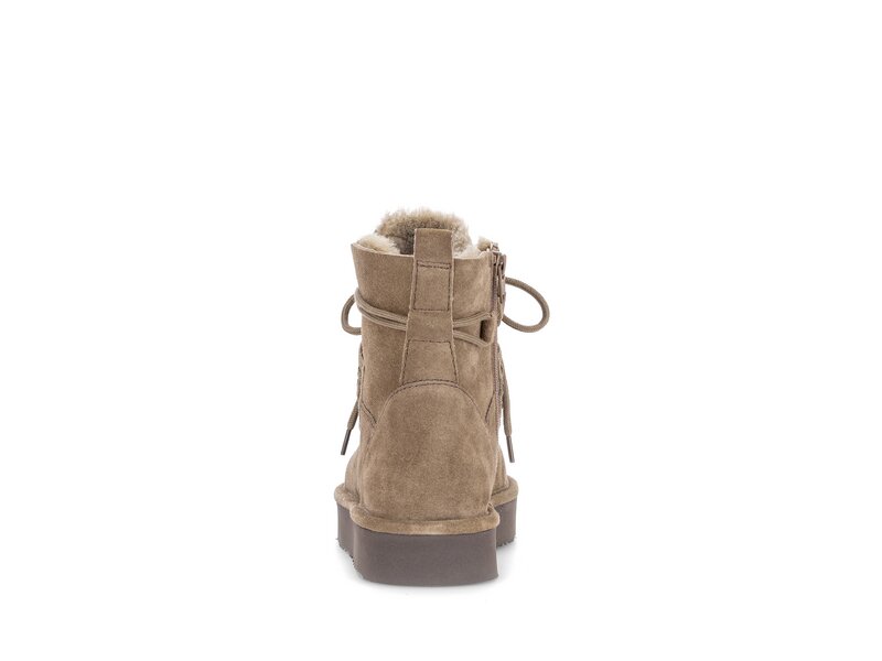 Gabor - Stiefeletten - Braun 