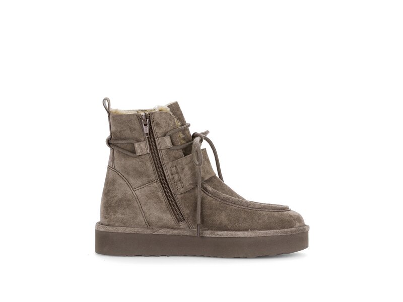 Gabor - Stiefeletten - Braun 