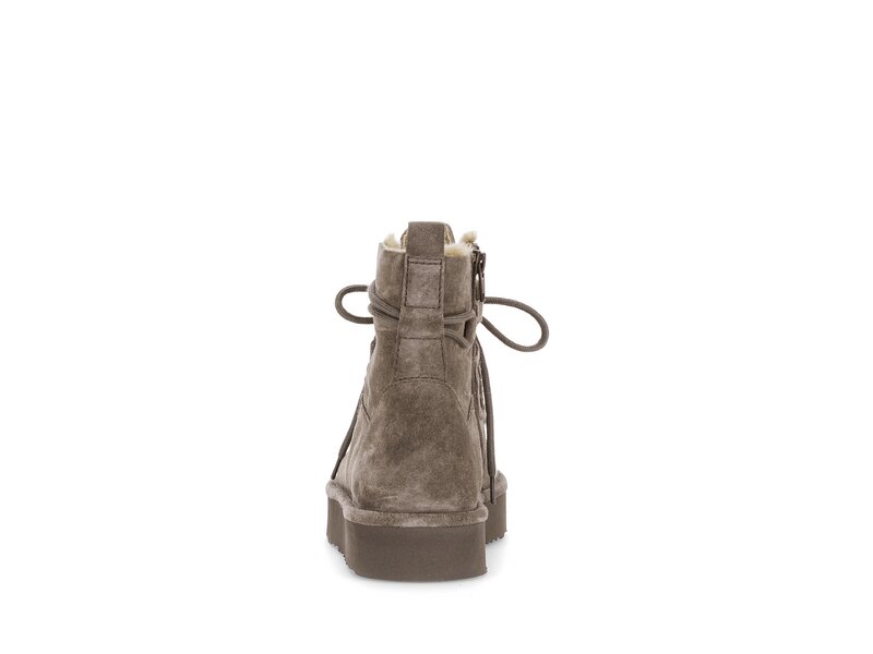 Gabor - Stiefeletten - Braun 