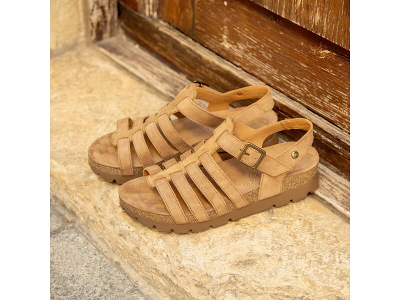 Panama Jack - Sandale - Beige 