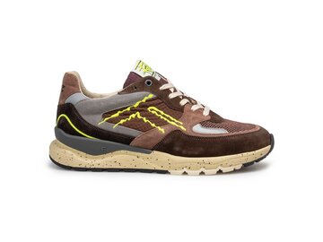 Floris Van Bommel - De Treener 06.12 - Braun
