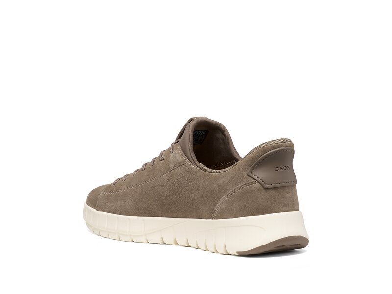 Geox - U FLEXTRIDE PLUS - Beige 