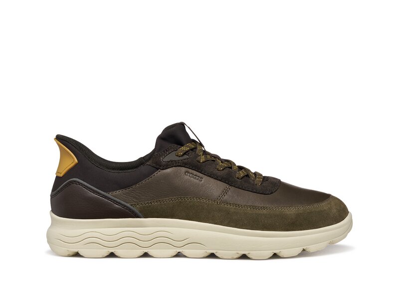 Geox - U SPHERICA PLUS - Gr&uuml;n 