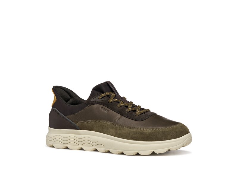 Geox - U SPHERICA PLUS - Gr&uuml;n 