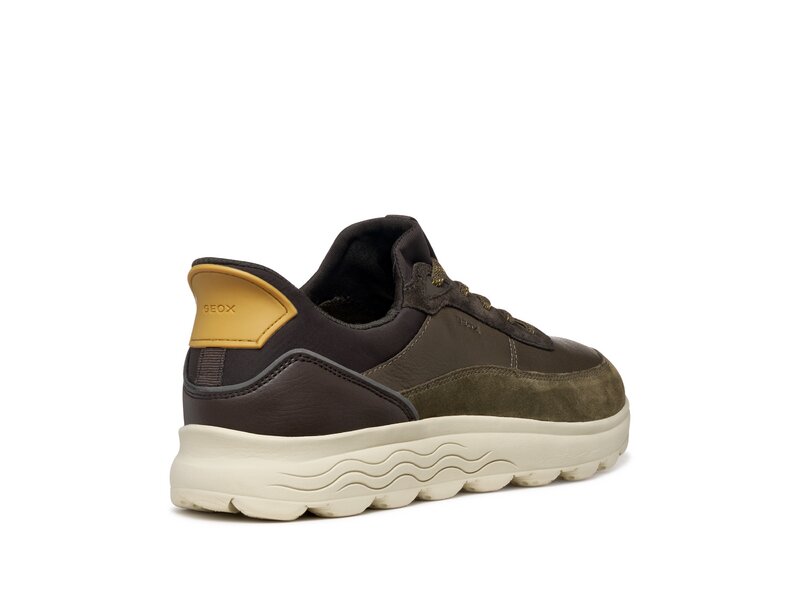 Geox - U SPHERICA PLUS - Gr&uuml;n 