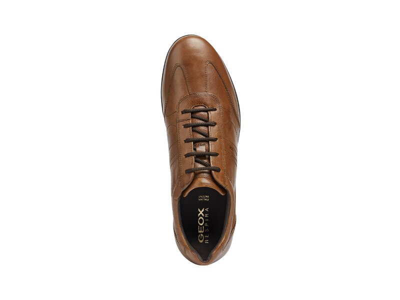 Geox - UOMO SYMBOL - Braun 