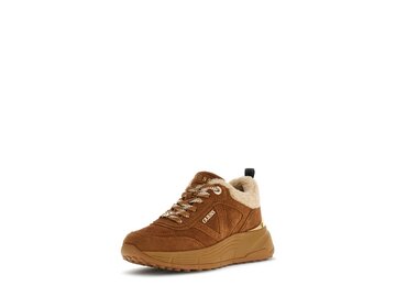 Guess - Facter2 - Braun
