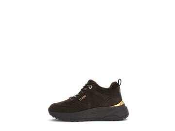 Guess - Facter2 - Braun