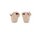 Apple Of Eden - BRUNA - Beige 