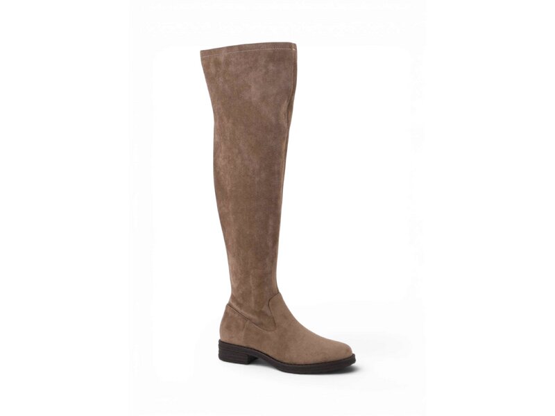 Apple Of Eden - ABILA - Beige 