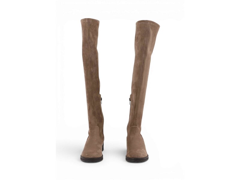 Apple Of Eden - ABILA - Beige 