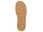 Sioux - Grashopper-013 - Braun 